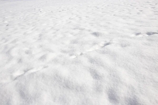 Fundo branco de neve na natureza — Fotografia de Stock