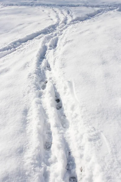 Stezka ve sněhu na přírodě — Stock fotografie