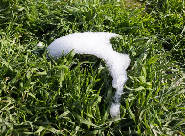 Снег на зеленой траве — стоковое фото