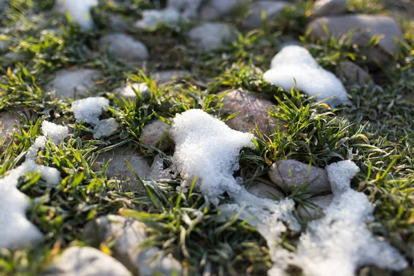 Nieve en la hierba verde en la naturaleza —  Fotos de Stock