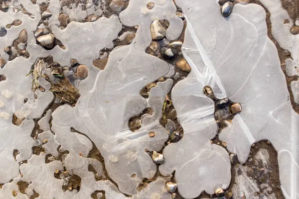 大自然中的一个池塘里的冰 — 图库照片