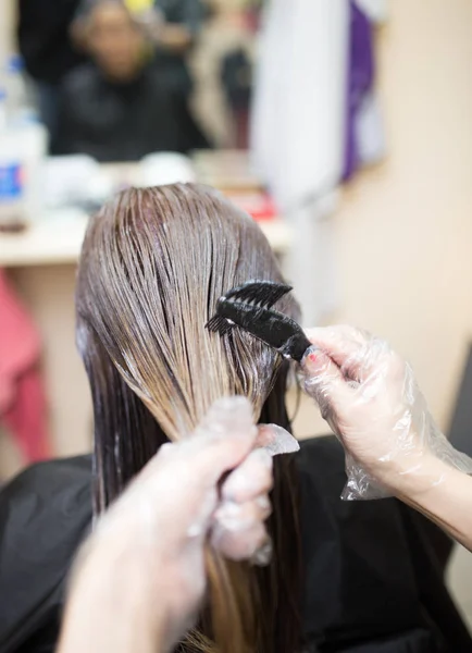 Coloración del cabello en el salón de belleza —  Fotos de Stock