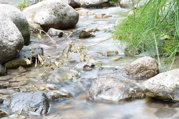 Горная река в природе — стоковое фото