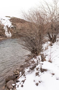 Doğada kışın akan nehir.