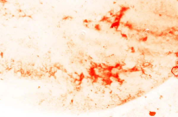 흰 배경의 붉은 피 — 스톡 사진