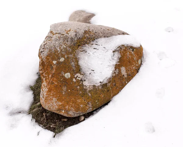 Doğada kardaki taşlar — Stok fotoğraf