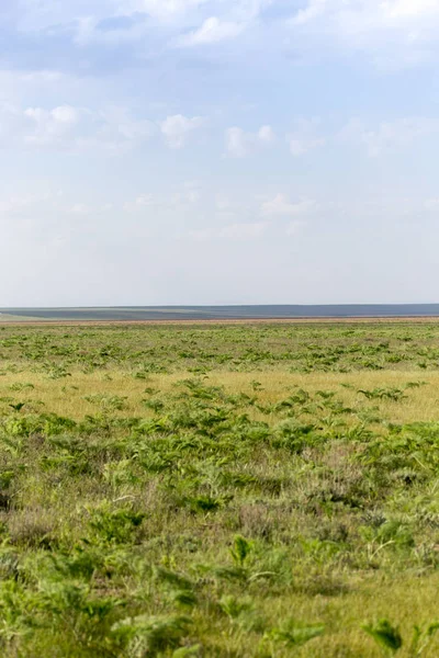 Jaro ve stepích Kazachstánu — Stock fotografie