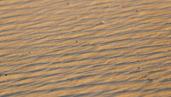 Areia na natureza como pano de fundo — Fotografia de Stock