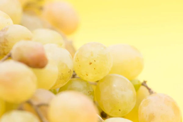 Uvas sobre fondo amarillo — Foto de Stock