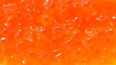 arka plan olarak kırmızı havyar. Makro