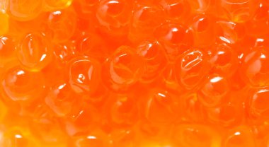 arka plan olarak kırmızı havyar. Makro