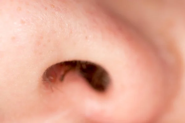 Nos człowieka jako tło. makro — Zdjęcie stockowe