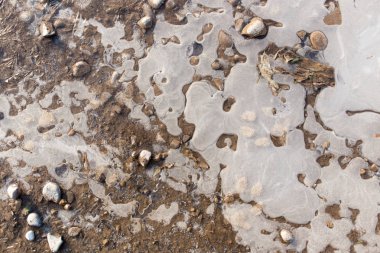 Doğadaki bir havuzda buz