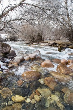 Kazakistan'ın dağ nehir doğada