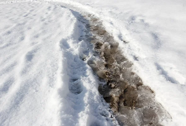 Sentier dans la neige sur la nature — Photo