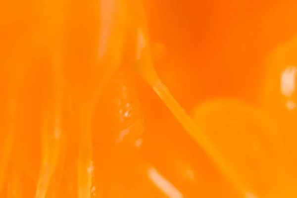 Laranja como fundo. super macro — Fotografia de Stock