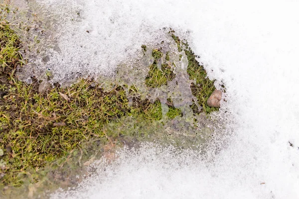 Neve na grama na natureza — Fotografia de Stock