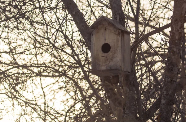 Birdhouse em uma árvore ao ar livre — Fotografia de Stock