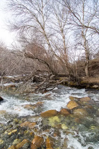 Horská řeka v Kazachstánu v přírodě — Stock fotografie