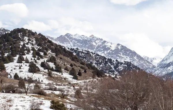 Montagne innevate del Tian Shan in inverno — Foto Stock