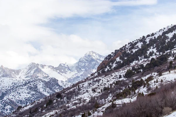 Besneeuwde bergen van de Tian Shan in de winter — Stockfoto
