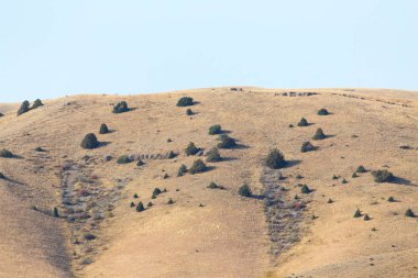 Doğa Kazakistan dağlarında