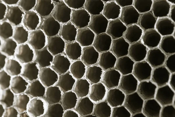 Honeycomb geting som bakgrund. konsistens — Stockfoto