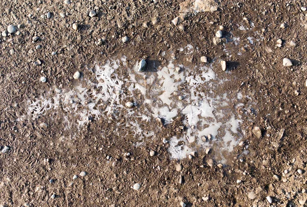 Ice in a pool on the nature — Stock Photo, Image