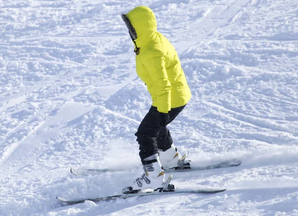 Personas esquiando en la nieve en el invierno — Foto de Stock