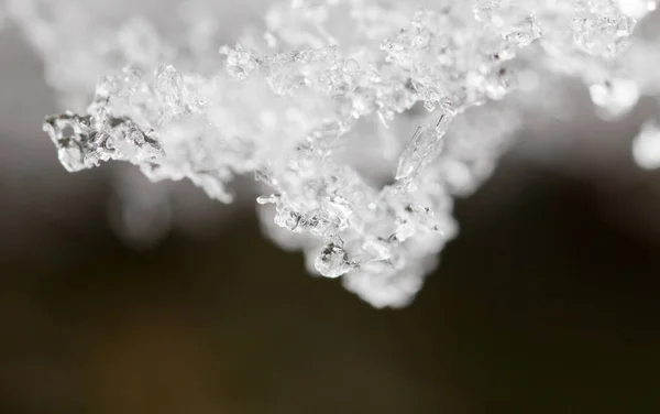 Snö i naturen som bakgrund. makro — Stockfoto