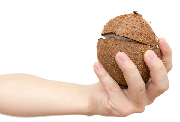 Kokosnoot in de hand op een witte achtergrond — Stockfoto