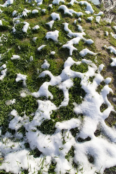 Nieve en la hierba verde en la naturaleza —  Fotos de Stock