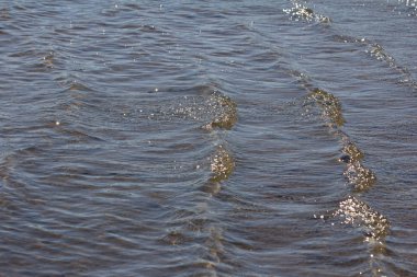 Göl su yüzeyi arka