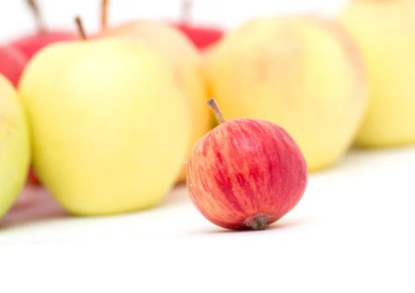 Manzanas sobre fondo blanco —  Fotos de Stock