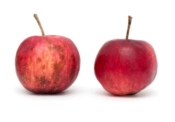 Manzana roja sobre un fondo blanco —  Fotos de Stock