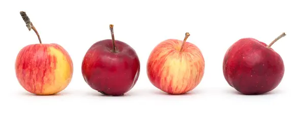 Manzana roja sobre un fondo blanco — Foto de Stock