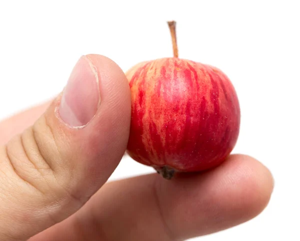 Pomme à la main sur fond blanc — Photo