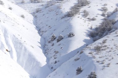 Kışın karlı dağın