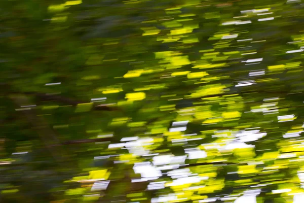 Motion blurred foliage — Stock Photo, Image