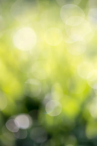 Bokeh fundo de natureza verde — Fotografia de Stock