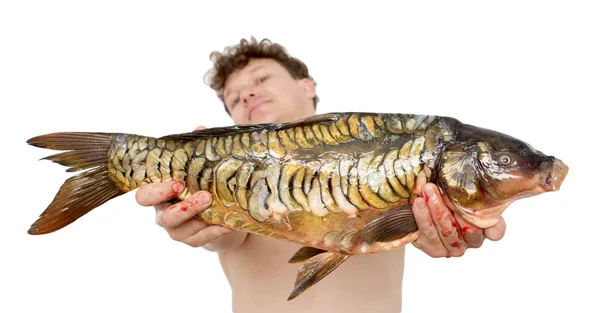 Carpa en manos masculinas sobre un fondo blanco — Foto de Stock