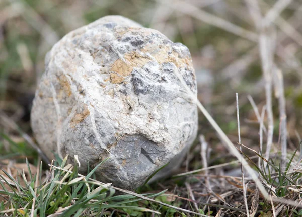 Pedras na natureza — Fotografia de Stock
