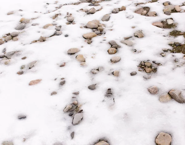 Pierres dans la neige sur la nature — Photo