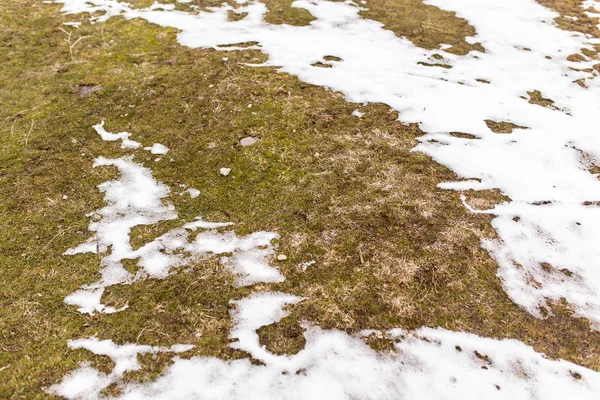 Сніг на траві на природі — стокове фото