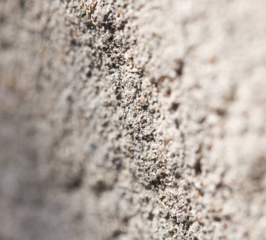 Beton duvar. Makro