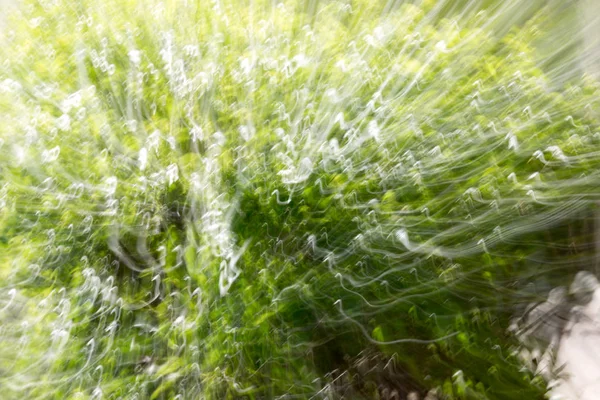 Abstrakter Hintergrund. Natur in Bewegung — Stockfoto