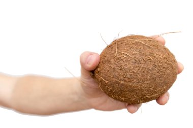 Beyaz arka planda hindistan cevizi