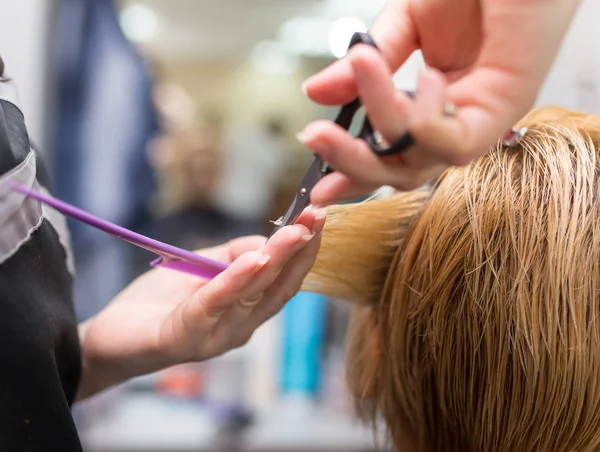 Tesoura de corte de cabelo feminino no salão de beleza — Fotografia de Stock