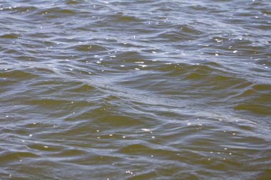 su arka plan dalgalar ile