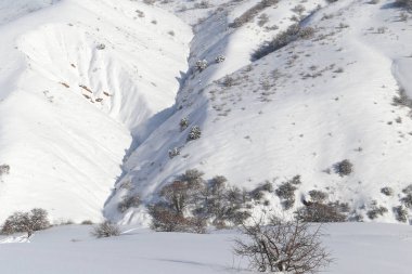 dağlarda karlı yamaçları